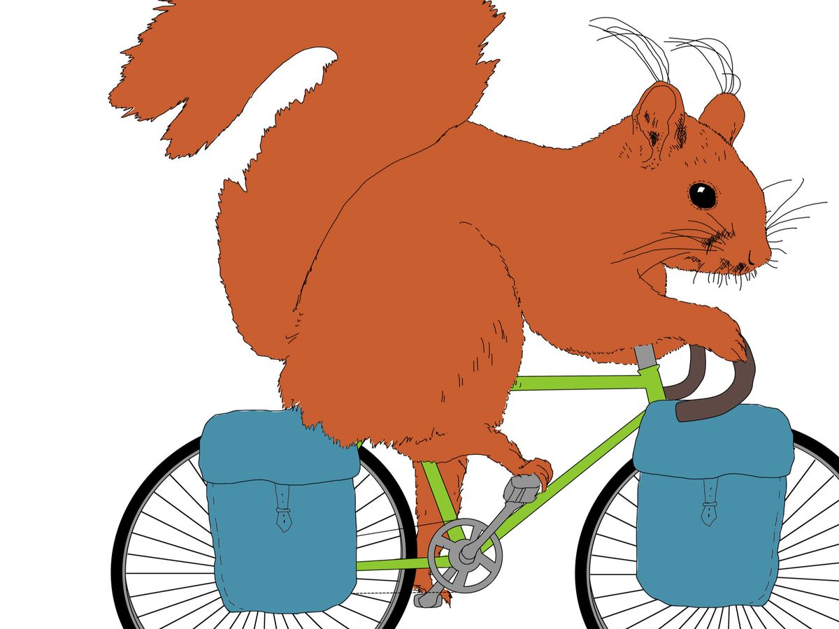 Fundraiser’s main image