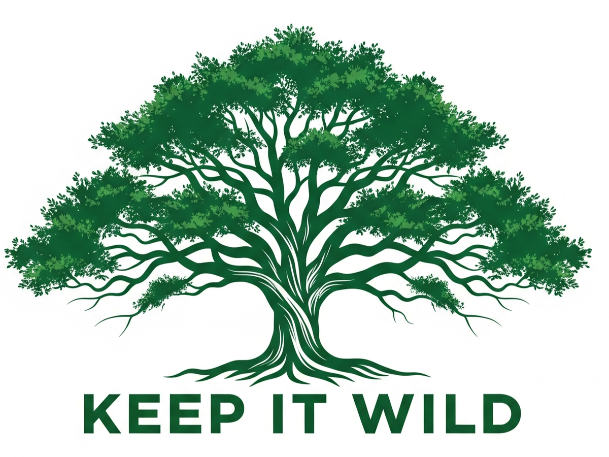 Fundraiser’s main image