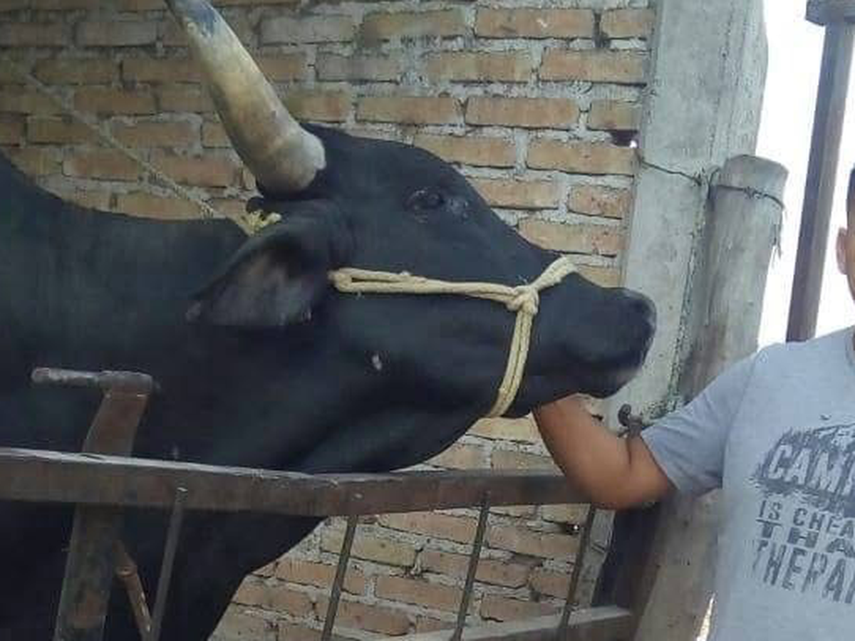 Fundraiser for jose solano by Vidal Mejia : Fortino(Forty) Barrera