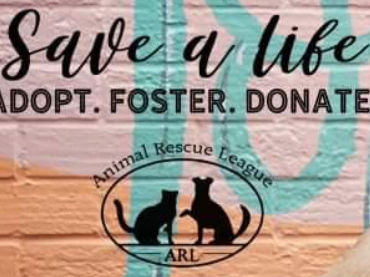 Fundraiser’s main image