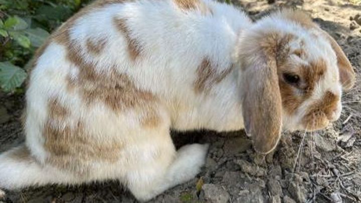 Hoofdafbeelding inzamelingsactie