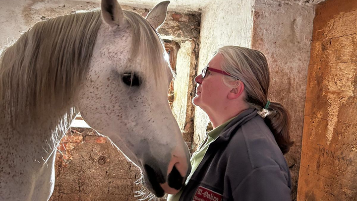 Foto van campagne Help Martina and the Al Qahira Arabian horses, 1 van 8