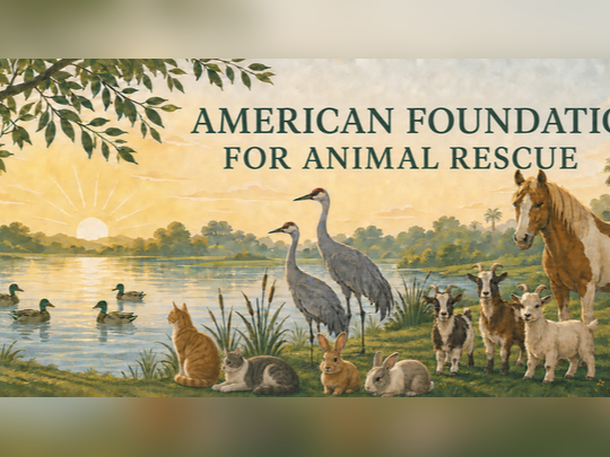 Fundraiser’s main image