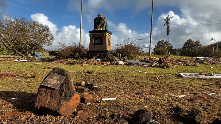 Restore Prince Kūhiō Park After Hurricane Lowell campaign photo, 1 of 8