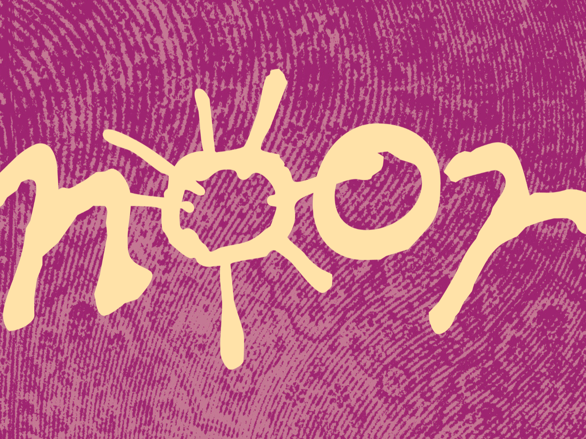 Fundraiser’s main image