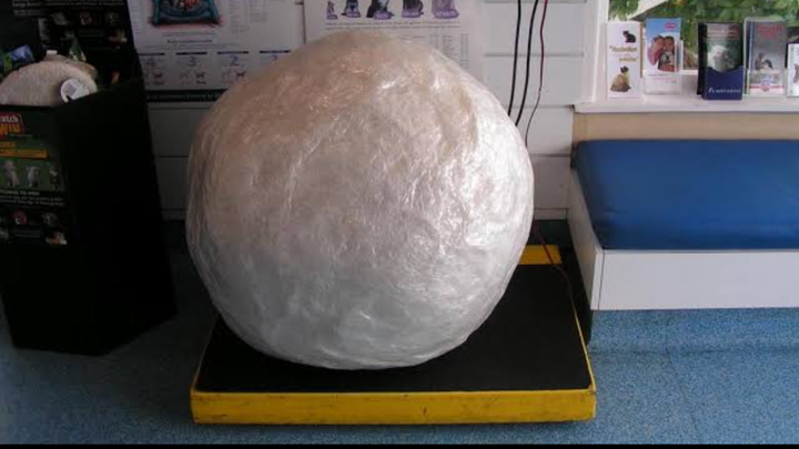 Fundraiser by James Thurston : The LARGEST tape ball