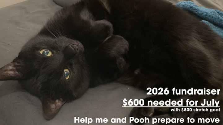 Help Zayne and Pooh survive 2026 campaign photo, 1 of 3