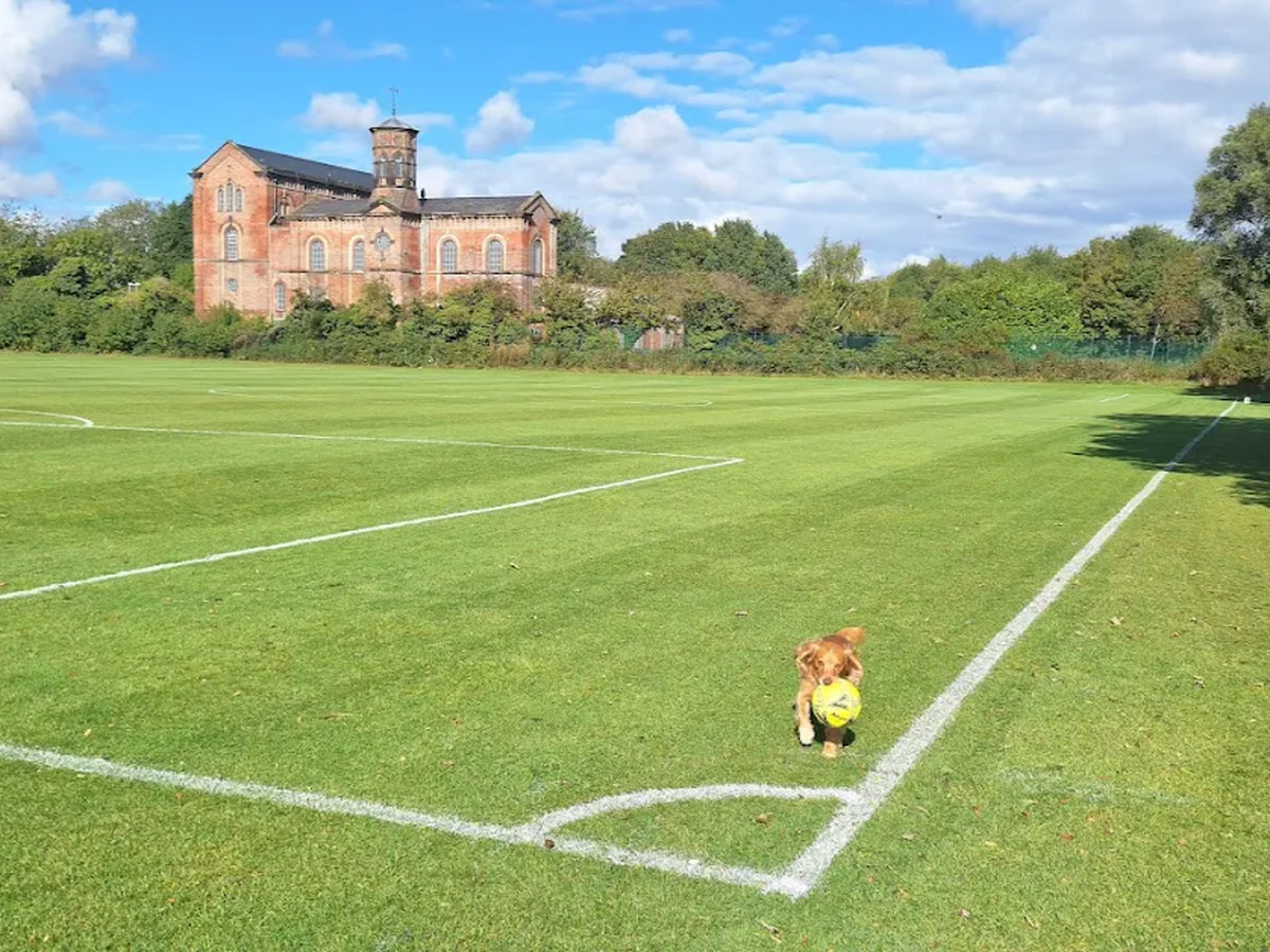 Springhead Fc Fundraiser by Springhead Football Club : Help Springhead FC build a ...
