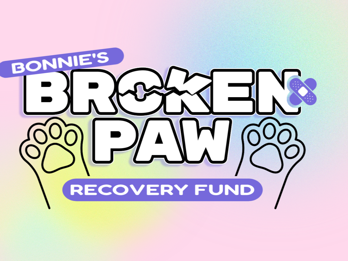 Support Bonnie's Recovery and Care campaign photo, 1 of 6