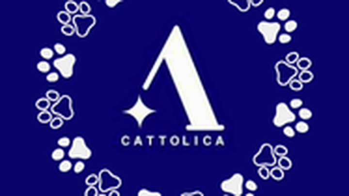 Zampe in Attesa: Aiutaci a Riempire le Loro Ciotole” campaign photo, 1 of 3