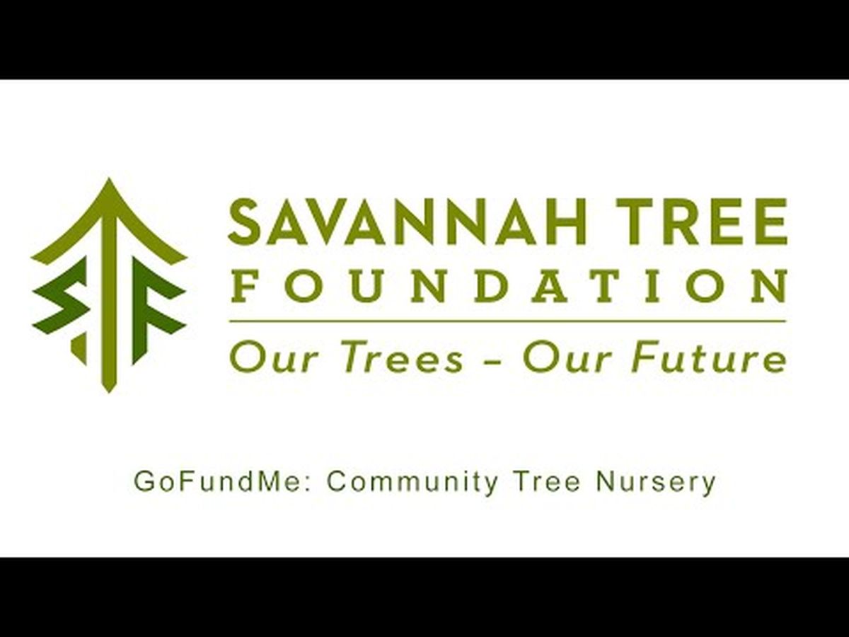 Fundraiser’s main image