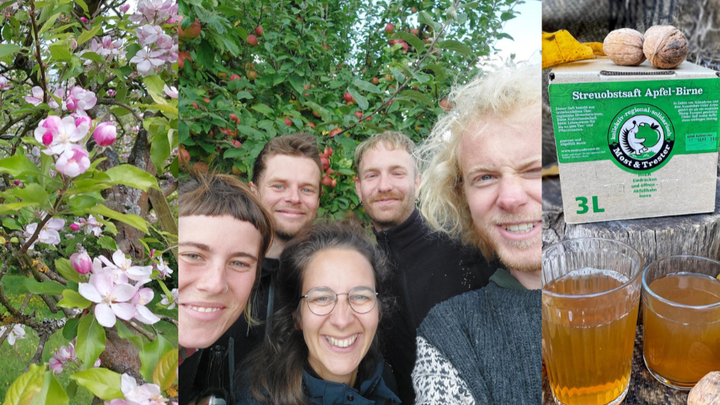 Kampagnen-Foto für Fossilfreie Mosterei: Streuobst meets Klimaschutz, 1 von 4