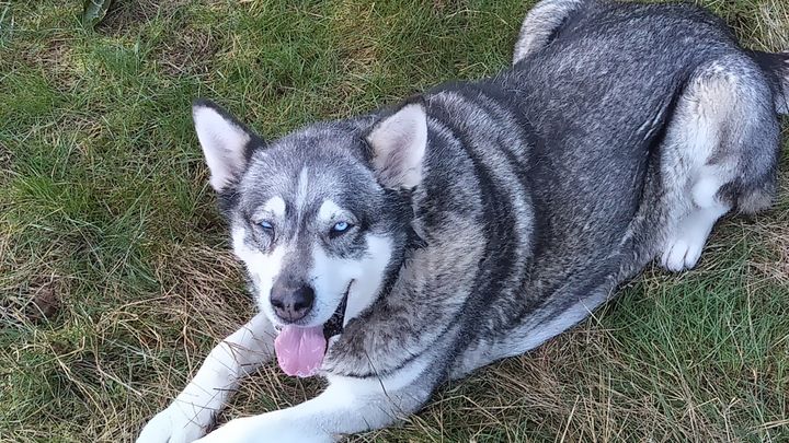 Main fundraiser photo