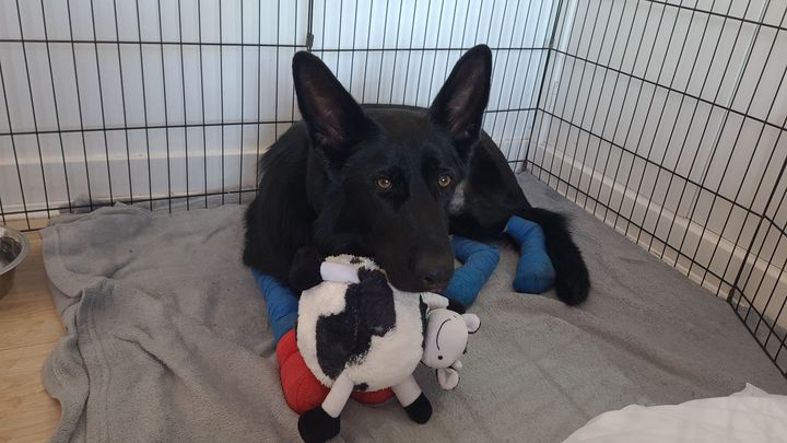 Main fundraiser photo