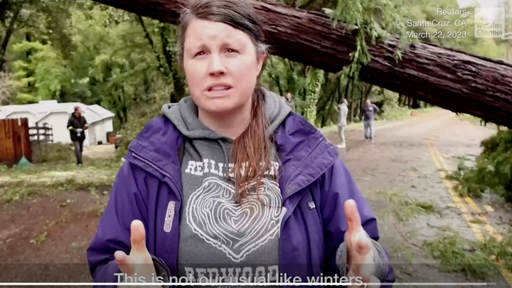 Help the Browns and their Boulder Creek Neighbors campaign photo, 1 of 2