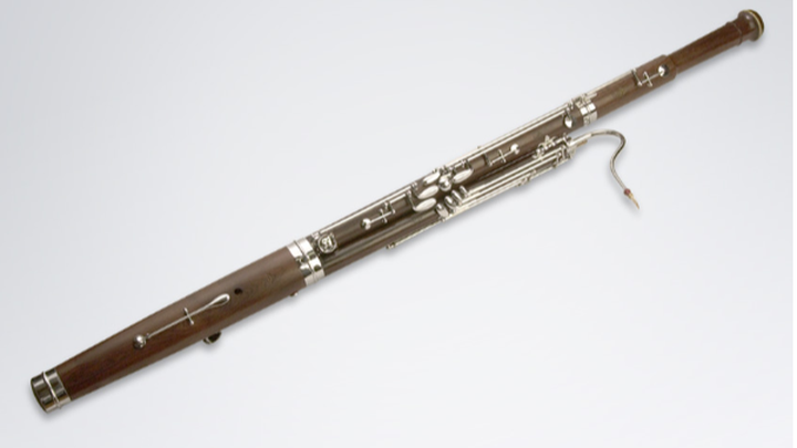 Empower C.J.'s Musical Education with a Bassoon campaign photo, 1 of 3