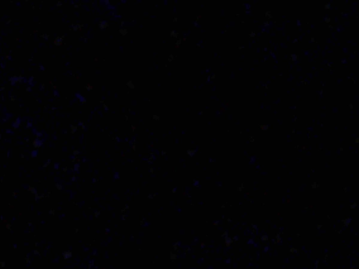 Fundraiser’s main image