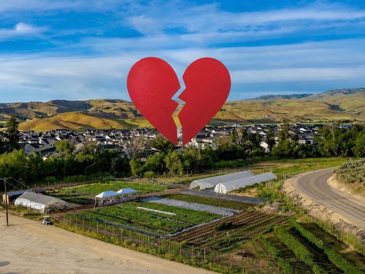Help Our Community Farm Recover from Vandalism campaign photo, 1 of 3