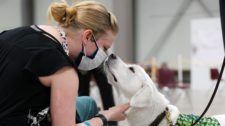 Honor Cheyenne: Help Therapy Teams campaign photo, 1 of 3