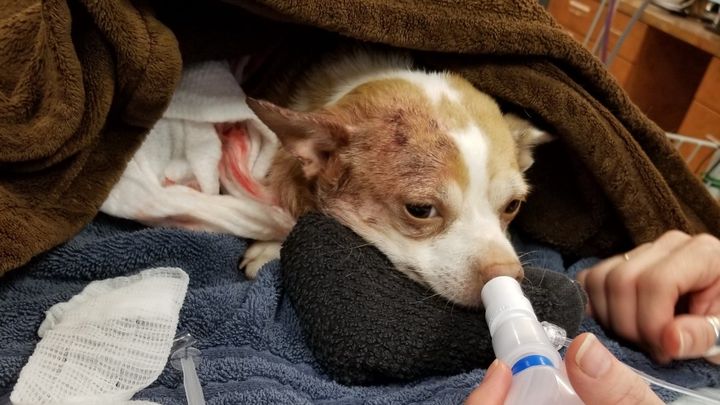 Main fundraiser photo