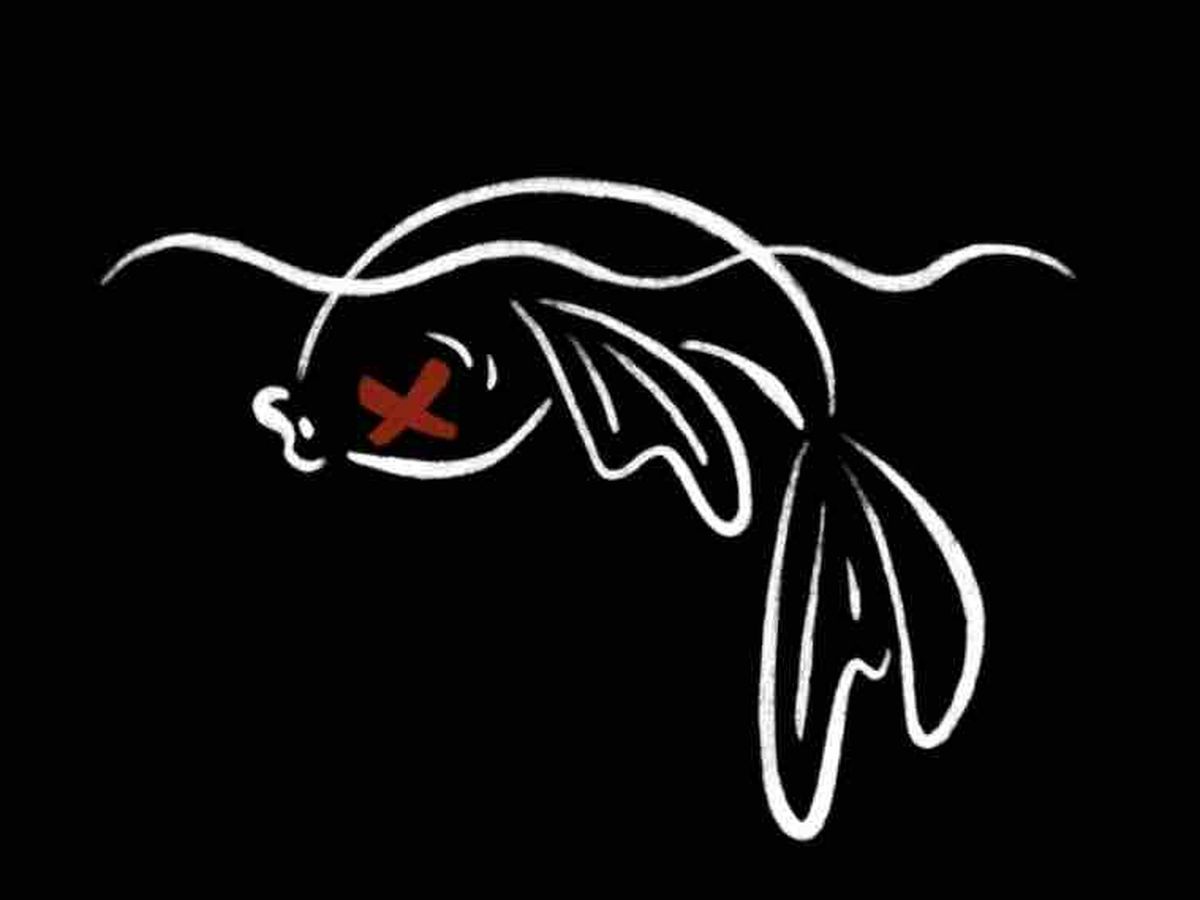 Fundraiser’s main image
