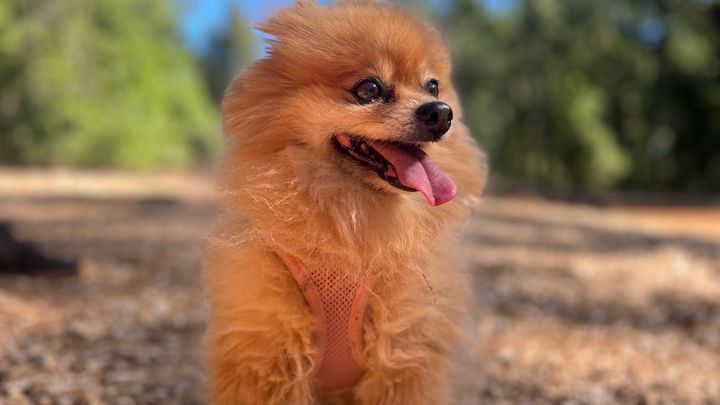 Bailey’s brave fight: Healing after a traumatic injury campaign photo, 1 of 8