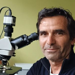 Pedro Fonseca