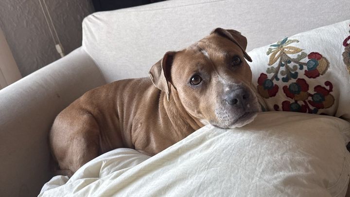 Lana's Tumor Is Back and We're Behind on Rent campaign photo, 1 of 5