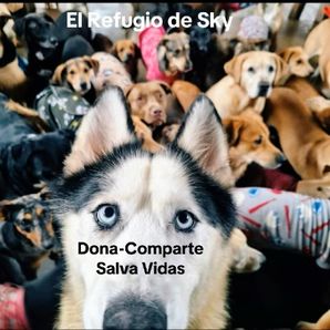 elrefugiodesky  Gofundme Creado por Maria Jesús Mateo