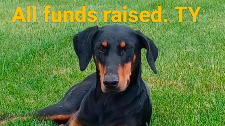 Main fundraiser photo