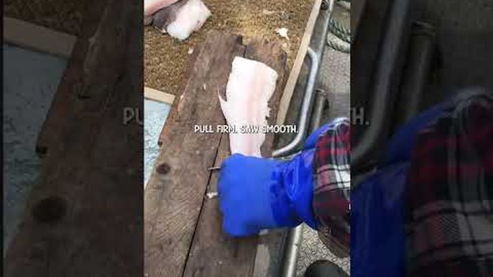 Ignite the Future: Gitxsan Youth Land & Harvesting video thumbnail, 1 of 3