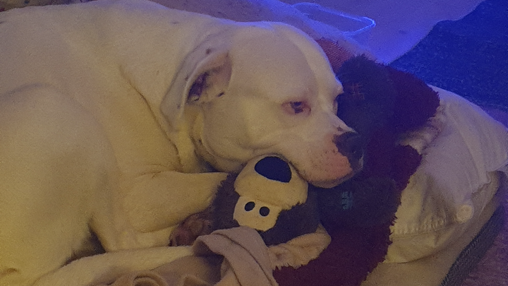 My big girl needs emergency operation campaign photo, 1 of 7