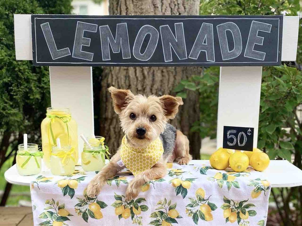 Fundraiser’s main image