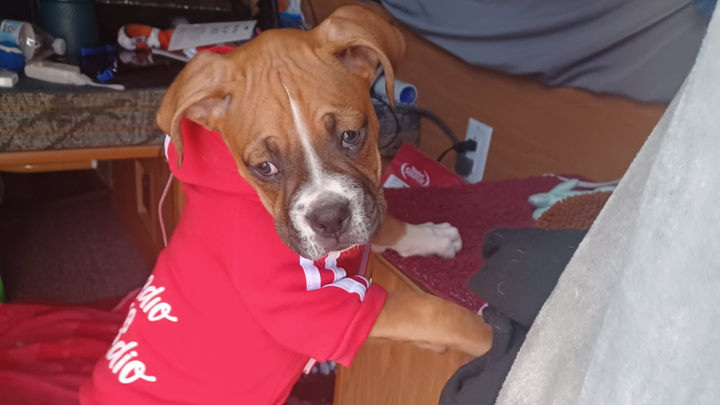 Help Baby Finn Get Life-Saving Surgery campaign photo, 1 of 3
