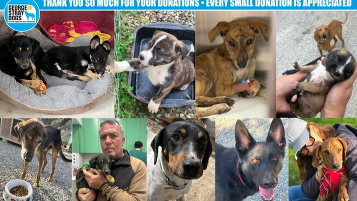 WATER BARRELS AND OUR VET BILL campaign photo, 1 of 5
