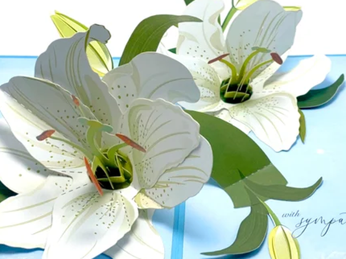 Fundraiser’s main image