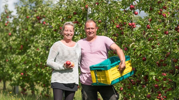Foto della campagna Helft uns, unseren Bio Obsthof und die Zukunft unserer Famil, 1 di 6