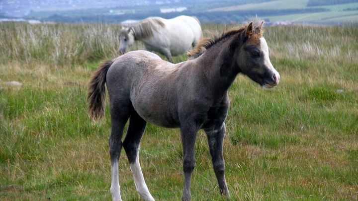 Hoofdafbeelding inzamelingsactie