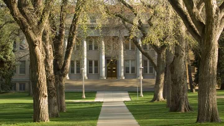 Urgent Assistance Needed for CSU Community Member campaign photo, 1 of 3
