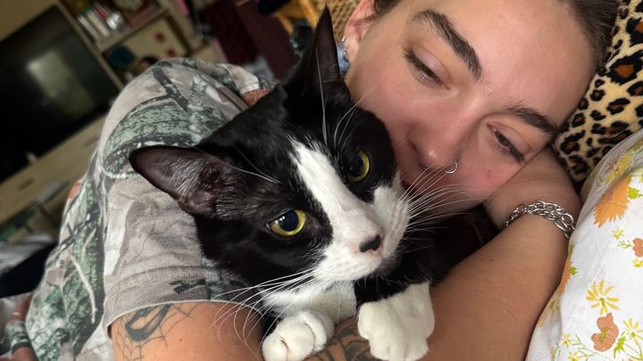 Support Haley's Beloved Cat, String Bean campaign photo, 1 of 3