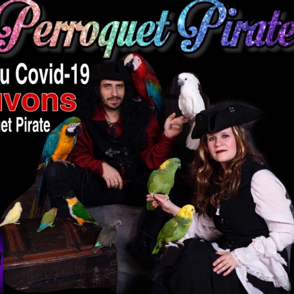 Fundraiser By Martine Laplante Perroquet Pirate Demande Votre Aide