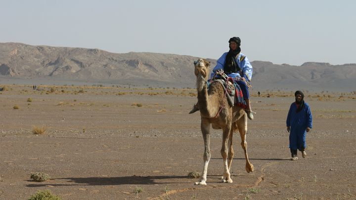 Help Sandy Cross the Sahara Desert campaign photo, 1 of 7