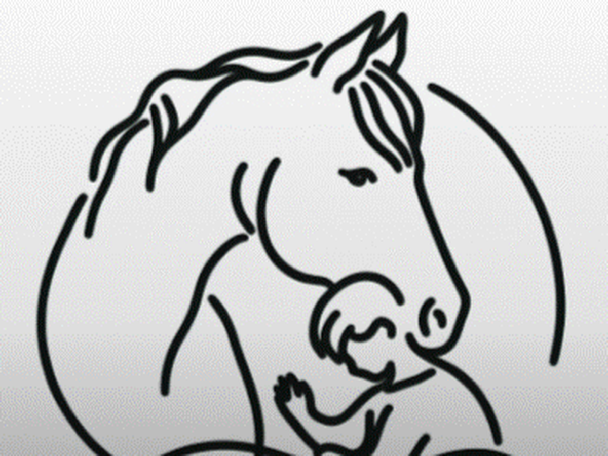 Fundraiser’s main image
