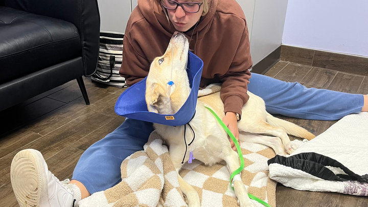 Help Lena Overcome Her Medical Battle campaign photo, 1 of 7