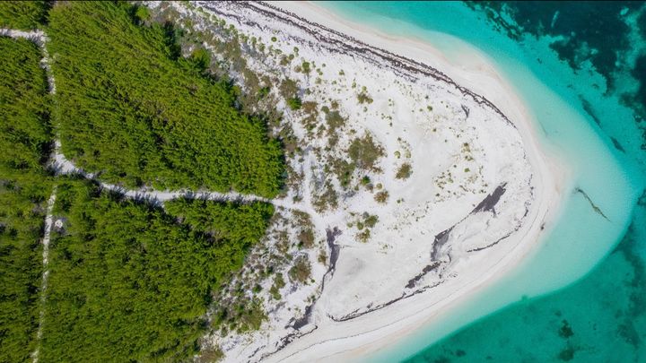 Help Us Preserve Gillam Bay on Green Turtle Cay