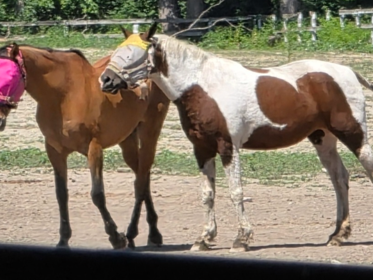 Fundraiser’s main image