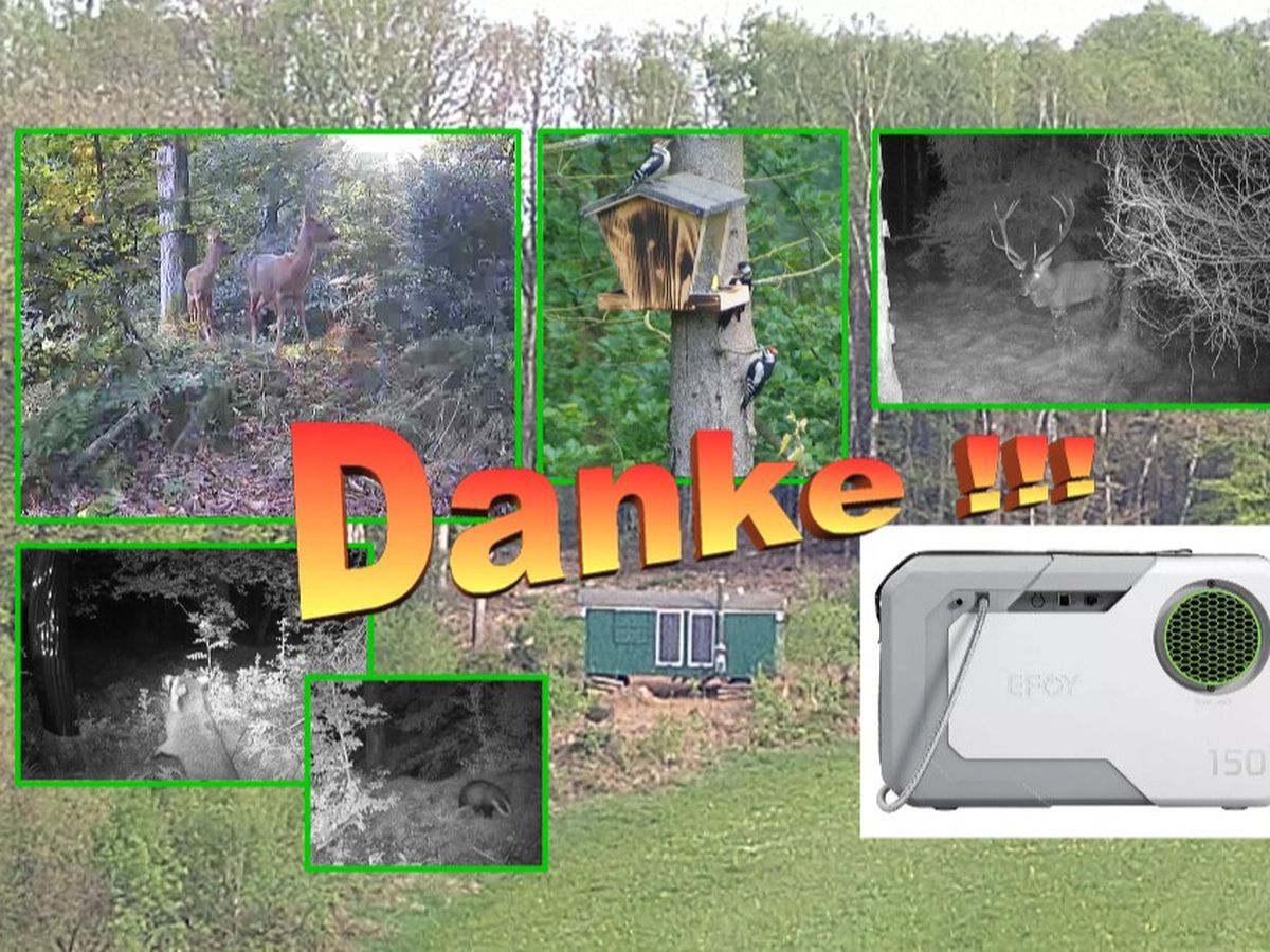 Hoofdafbeelding van de inzamelingsactie