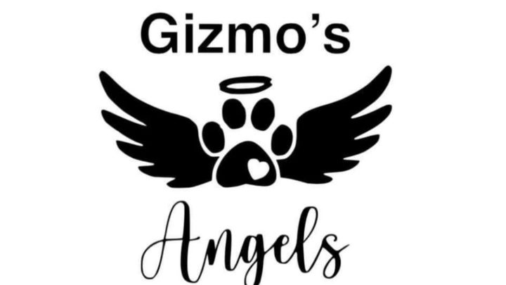 Support Gizmo's Angels: Feed Coos County Pets campaign photo, 1 of 3