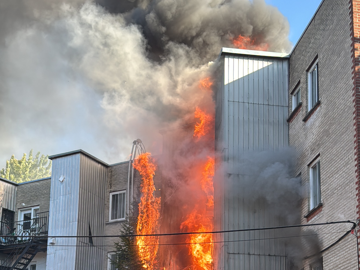 Fundraiser’s main image