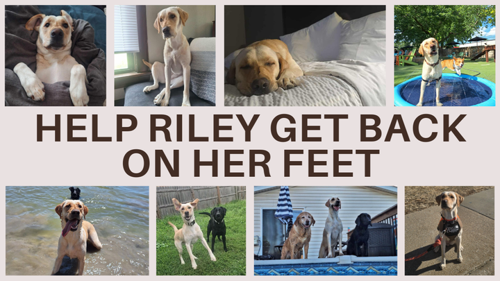 Help Riley Get Back on Her Feet campaign photo, 1 of 8